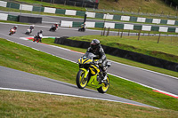 Lower Group Yellow Bikes
